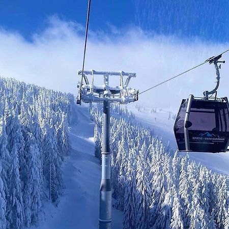 Apartments Foka & Spa - 600M From Gondola Ski Lift Kopaonik Exterior foto