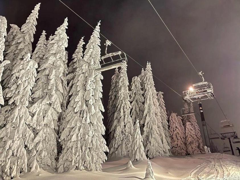 Apartments Foka & Spa - 600M From Gondola Ski Lift Kopaonik Exterior foto